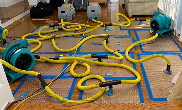 Professional Crawl Space Water Removal technician working in New Paris, OH